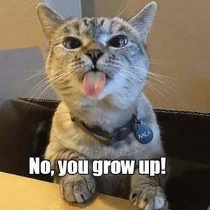 Meet your Posher, Eddie